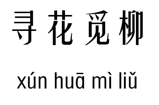 什么什么觅什么的成语_锦觅和旭凤是什么关系