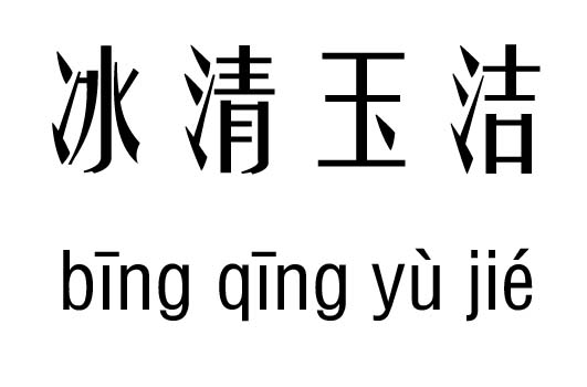 冰什么玉什么的成语_玉势是什么图片(3)