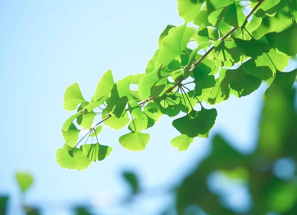 9��24��������_�����յ���������